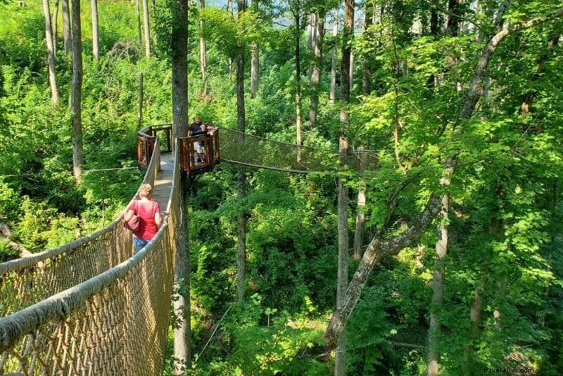 66 Best Things to Do in Pigeon Forge, Tennessee – Ultimate Family Adventure Guide