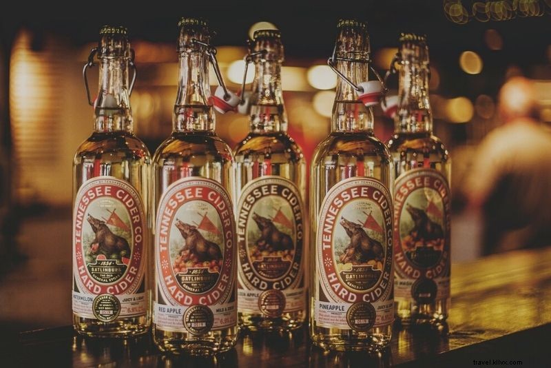 Discover 56 Must-Do Activities in Gatlinburg, Tennessee: Ultimate Smoky Mountains Guide