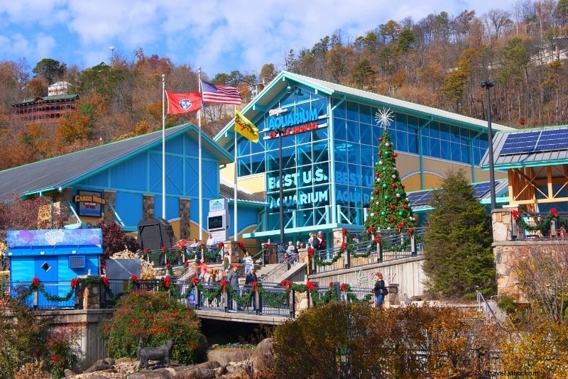 Discover 56 Must-Do Activities in Gatlinburg, Tennessee: Ultimate Smoky Mountains Guide