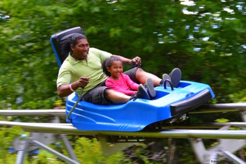 Discover 56 Must-Do Activities in Gatlinburg, Tennessee: Ultimate Smoky Mountains Guide