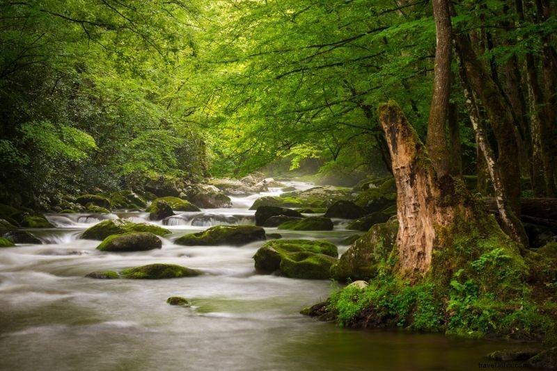 Discover 56 Must-Do Activities in Gatlinburg, Tennessee: Ultimate Smoky Mountains Guide