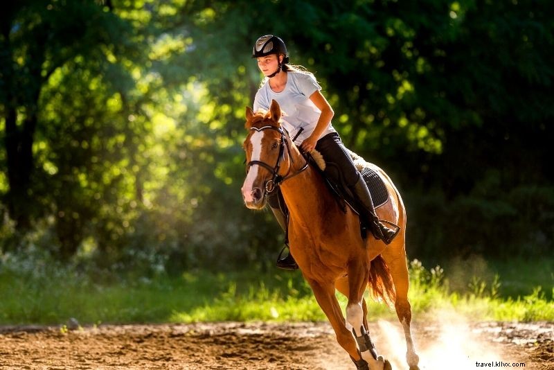 Discover 56 Must-Do Activities in Gatlinburg, Tennessee: Ultimate Smoky Mountains Guide