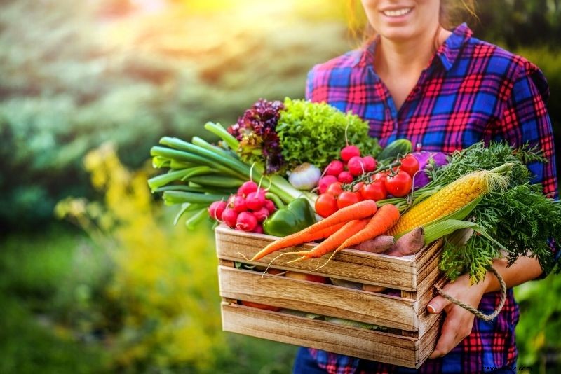 Discover 56 Must-Do Activities in Gatlinburg, Tennessee: Ultimate Smoky Mountains Guide