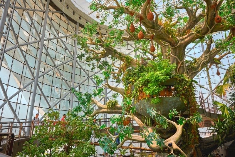 100 Exciting Things to Do in Dubai: Ultimate Activities Guide