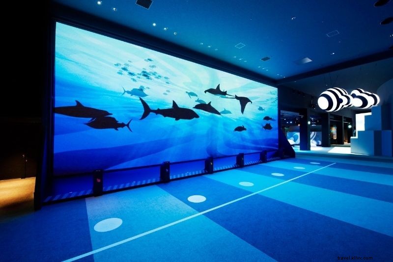 100 Exciting Things to Do in Dubai: Ultimate Activities Guide