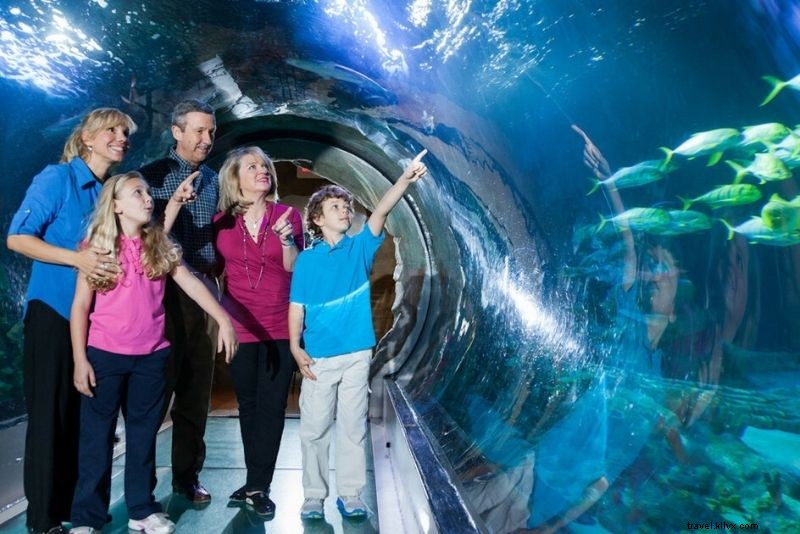 99 Best Things to Do in Orlando, Florida: Ultimate Guide Beyond Theme Parks
