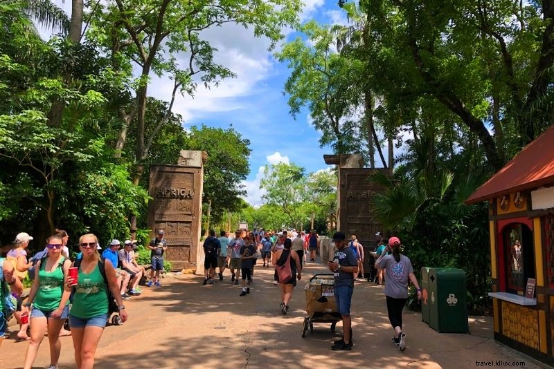 99 Best Things to Do in Orlando, Florida: Ultimate Guide Beyond Theme Parks