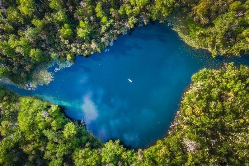 99 Best Things to Do in Orlando, Florida: Ultimate Guide Beyond Theme Parks