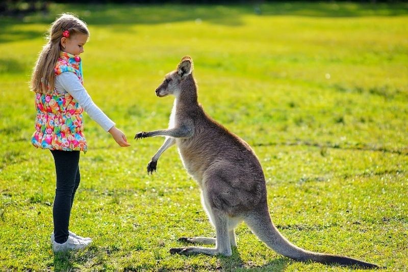 99 Best Things to Do in Orlando, Florida: Ultimate Guide Beyond Theme Parks