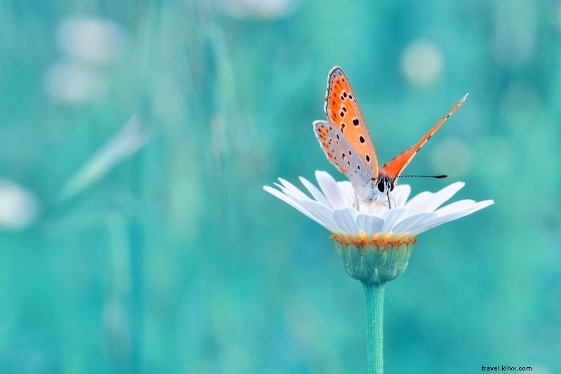 46 Best Things to Do in Fort Lauderdale, Florida: Beaches, Adventures & More