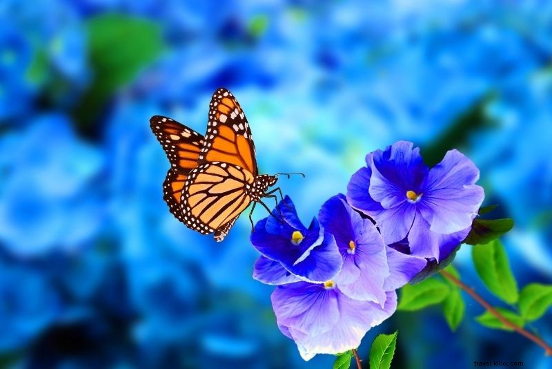 Discover 80 Fun & Unusual Things to Do in Chicago