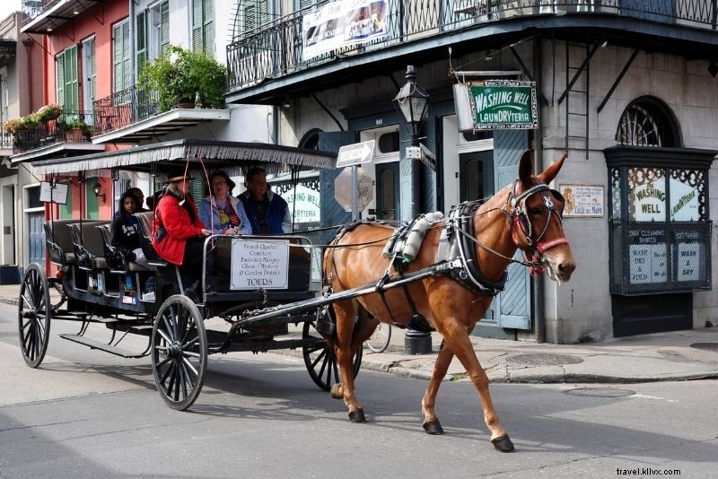 76 Fun & Unusual Things to Do in New Orleans: Discover Hidden Gems