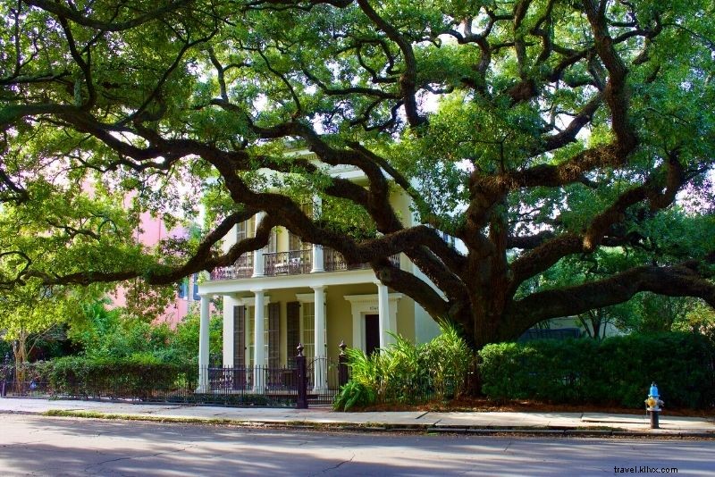 76 Fun & Unusual Things to Do in New Orleans: Discover Hidden Gems