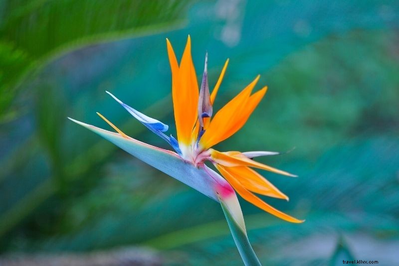 76 Fun & Unusual Things to Do in New Orleans: Discover Hidden Gems