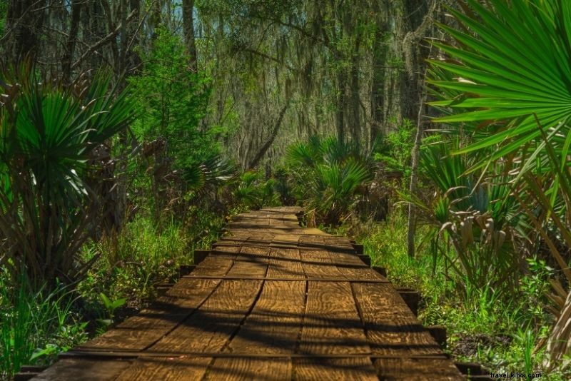 76 Fun & Unusual Things to Do in New Orleans: Discover Hidden Gems