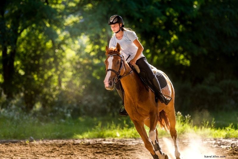 74 Ultimate Things to Do in Cancun, Mexico: Beaches, Adventures & Wonders