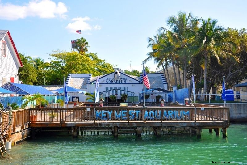 48 Best Things to Do in Key West, Florida: Ultimate Adventure Guide