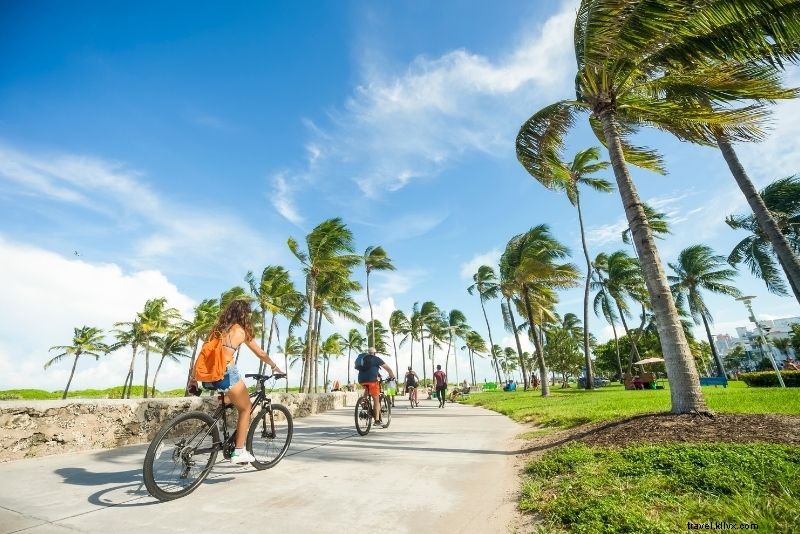 Discover 61 Fun and Unusual Things to Do in Miami, Florida