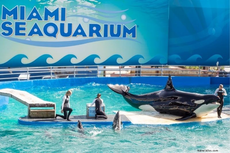 Discover 61 Fun and Unusual Things to Do in Miami, Florida