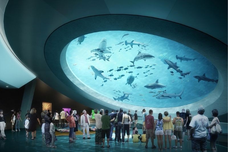 Discover 61 Fun and Unusual Things to Do in Miami, Florida