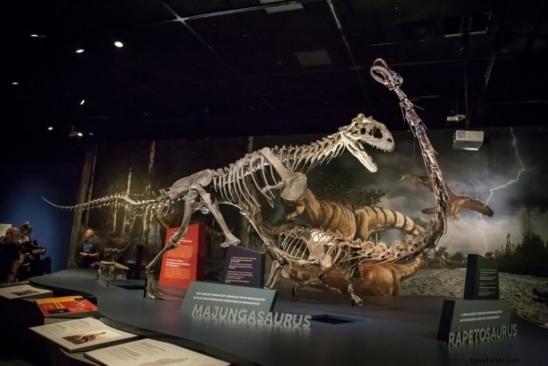 67 Fun & Unusual Things to Do in San Diego: Ultimate Guide