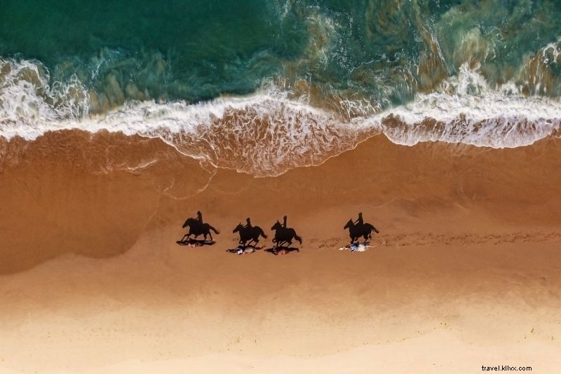 67 Fun & Unusual Things to Do in San Diego: Ultimate Guide