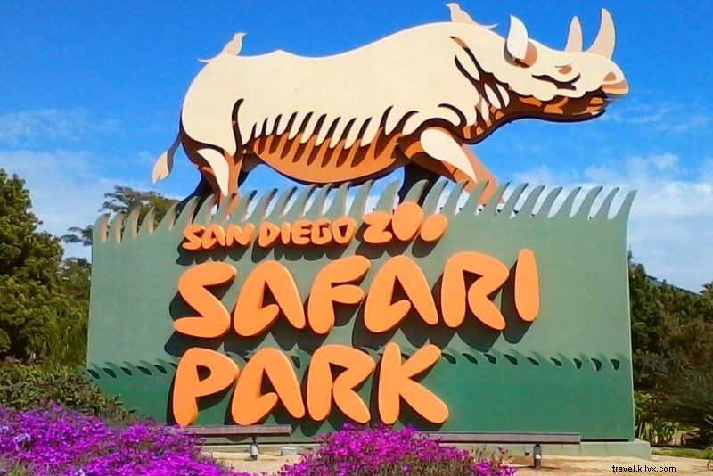 67 Fun & Unusual Things to Do in San Diego: Ultimate Guide