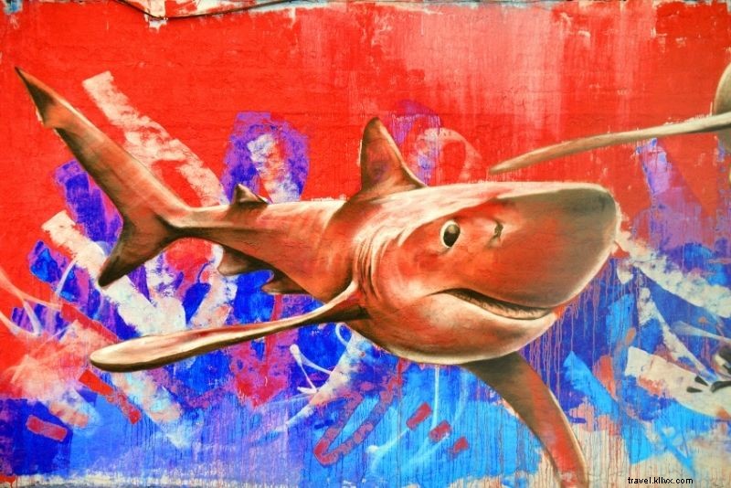 67 Fun & Unusual Things to Do in San Diego: Ultimate Guide