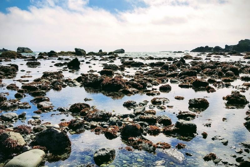 67 Fun & Unusual Things to Do in San Diego: Ultimate Guide