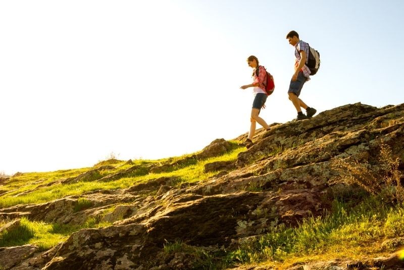 67 Fun & Unusual Things to Do in San Diego: Ultimate Guide