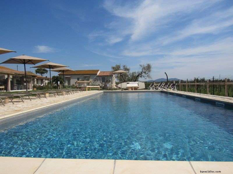 Top 33 Agriturismo in Tuscany with Swimming Pools: Best Farm Stays for Relaxation