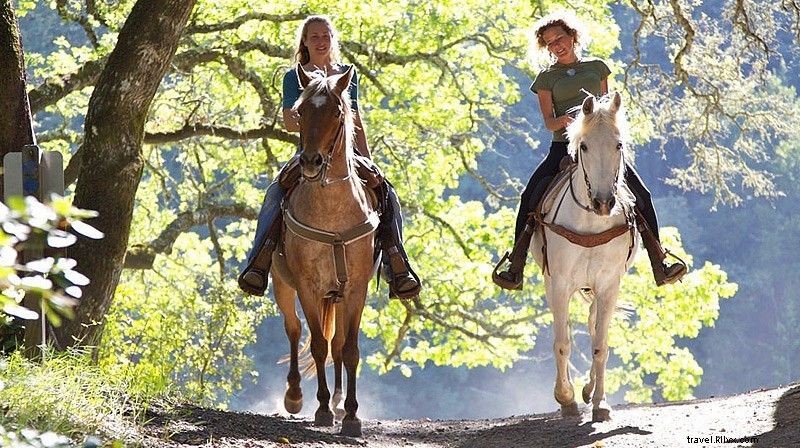 Top 33 Agriturismo in Tuscany with Swimming Pools: Best Farm Stays for Relaxation