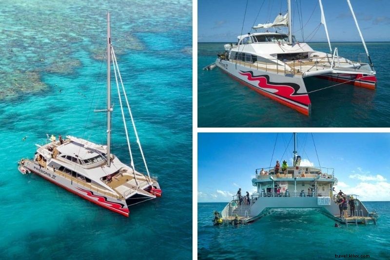 Top 15 Great Barrier Reef Tours from Cairns: Expert Picks for Unforgettable Adventures