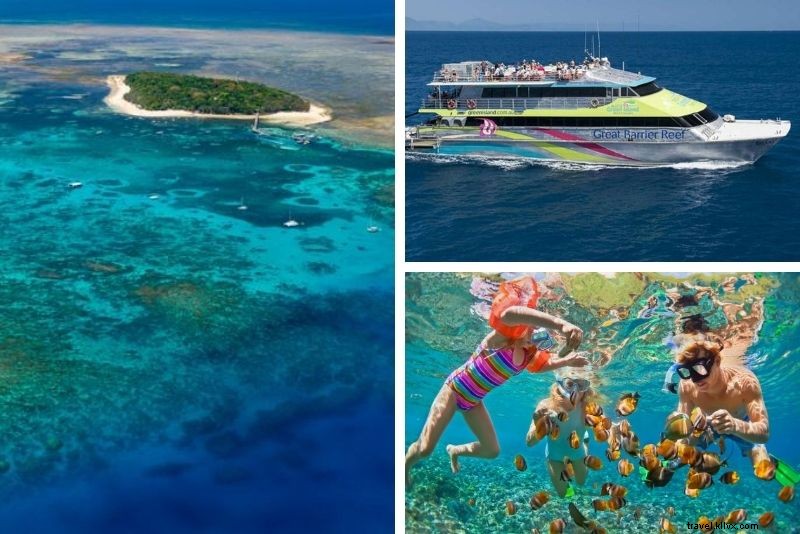 Top 15 Great Barrier Reef Tours from Cairns: Expert Picks for Unforgettable Adventures