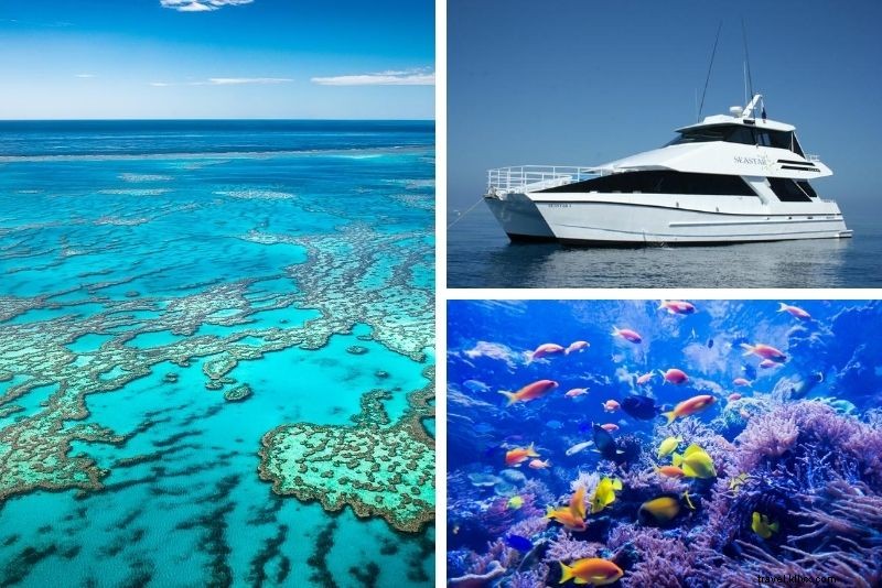 Top 15 Great Barrier Reef Tours from Cairns: Expert Picks for Unforgettable Adventures