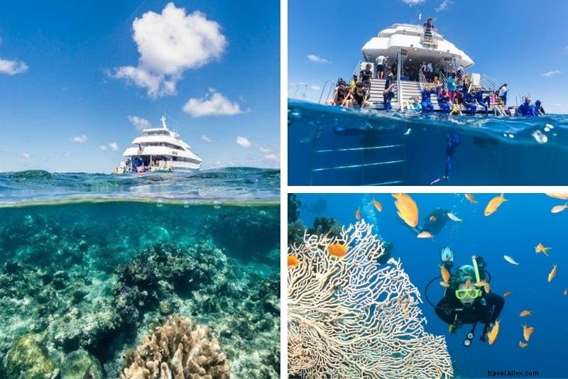 Top 15 Great Barrier Reef Tours from Cairns: Expert Picks for Unforgettable Adventures