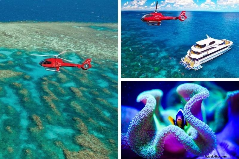 Top 15 Great Barrier Reef Tours from Cairns: Expert Picks for Unforgettable Adventures