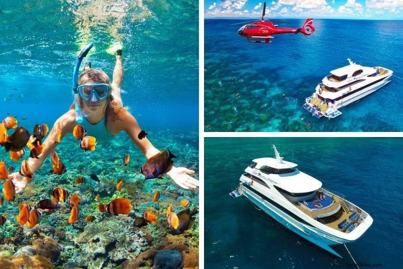 Top 15 Great Barrier Reef Tours from Cairns: Expert Picks for Unforgettable Adventures