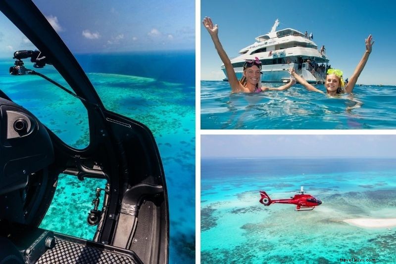 Top 15 Great Barrier Reef Tours from Cairns: Expert Picks for Unforgettable Adventures