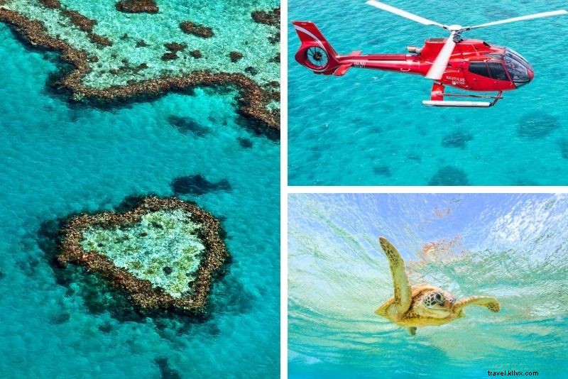 Top 15 Great Barrier Reef Tours from Cairns: Expert Picks for Unforgettable Adventures