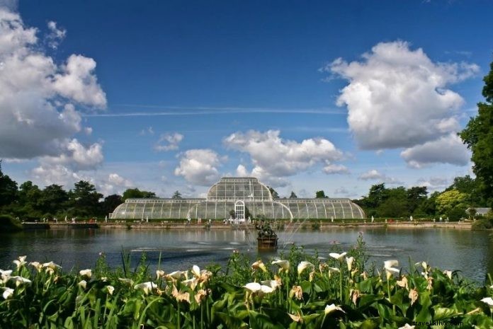 Kew Gardens Ticket Prices: Save Up to 25% with Proven Discounts & Tips