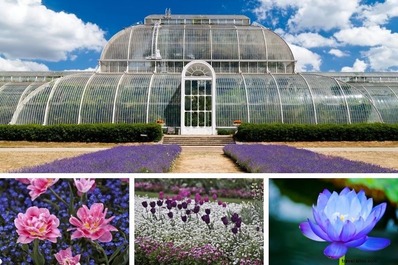 Kew Gardens Ticket Prices: Save Up to 25% with Proven Discounts & Tips