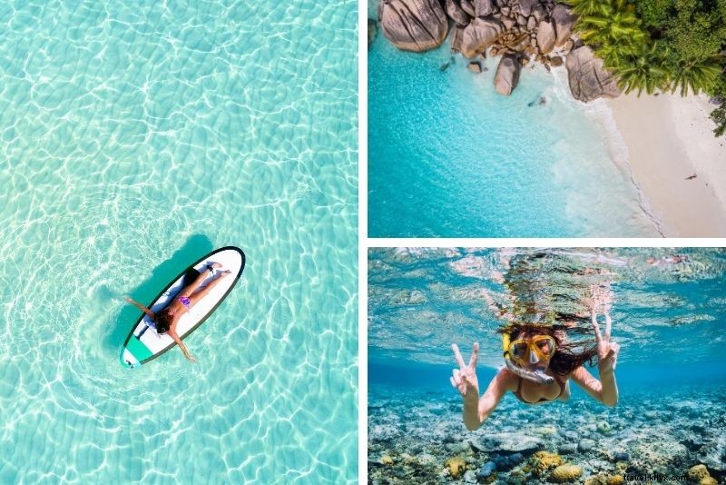 Top 15 Great Barrier Reef Tours from Cairns: Expert Picks for Unforgettable Adventures