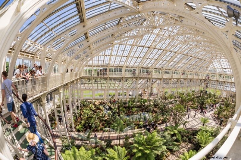 Kew Gardens Ticket Prices: Save Up to 25% with Proven Discounts & Tips