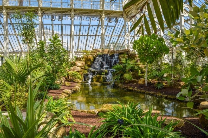 Kew Gardens Ticket Prices: Save Up to 25% with Proven Discounts & Tips