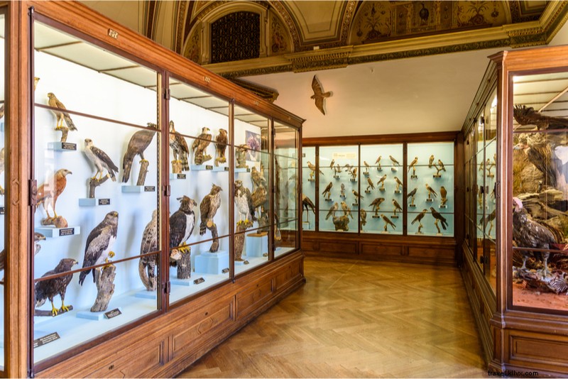 Discover 74 Fun & Unusual Things to Do in Las Vegas Beyond the Casinos