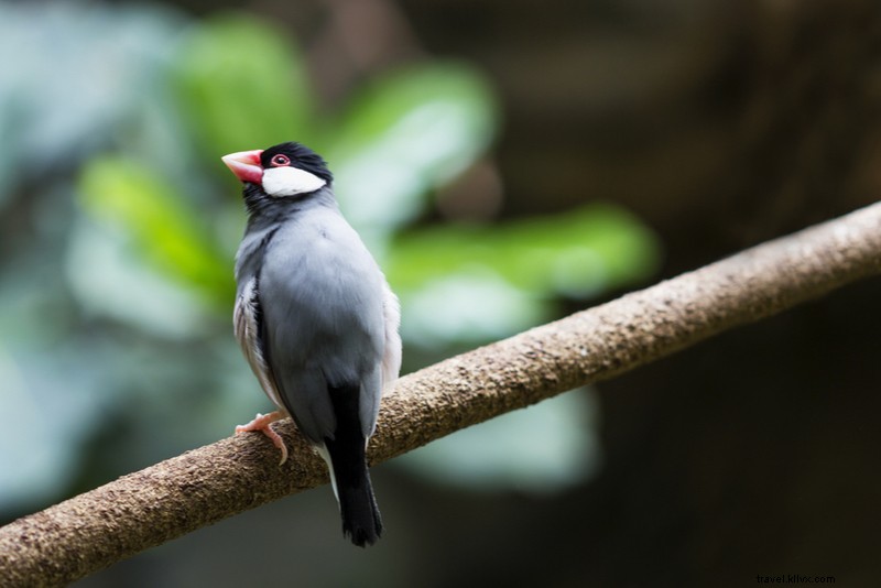 37 Best Things to Do in Niagara Falls: Ultimate Guide to Top Attractions