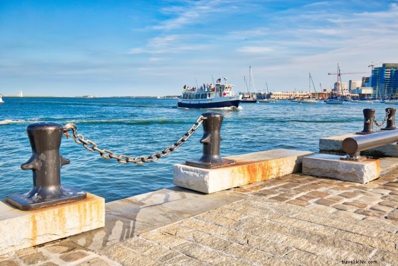 Ultimate Guide to Boston Whale Watching Cruises: Prices, Best Times & Essential Tips