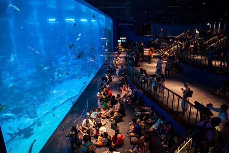 Discover the 50 Best Aquariums Worldwide: Top Must-Visit Marine Wonders