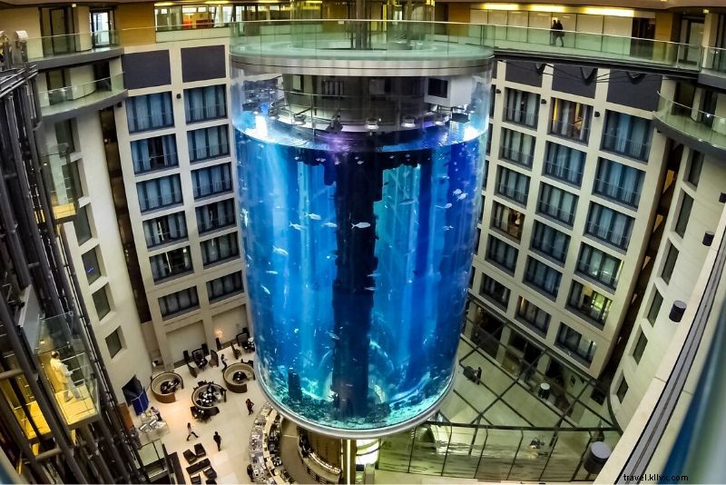 Discover the 50 Best Aquariums Worldwide: Top Must-Visit Marine Wonders